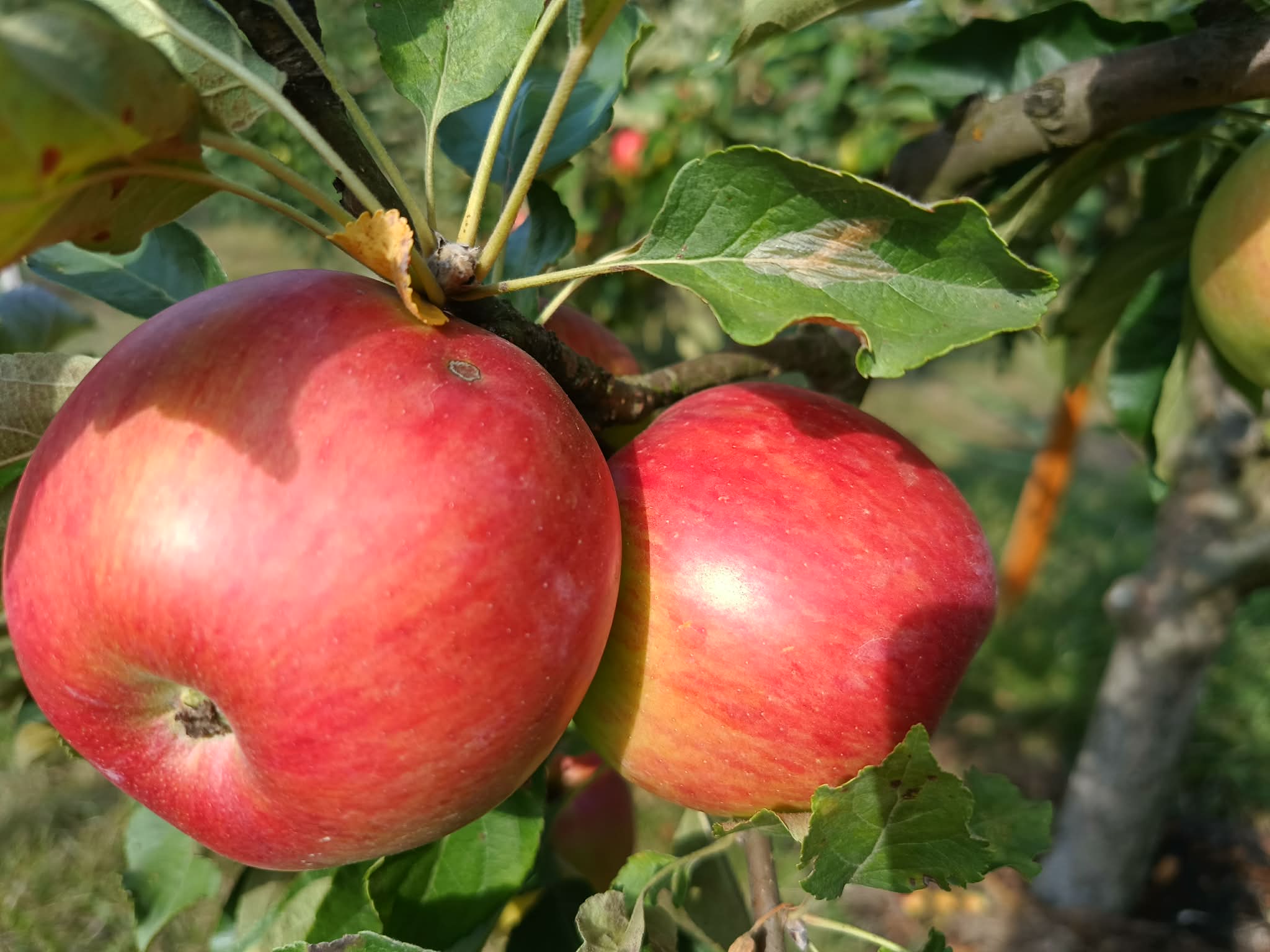 e2358c3d-a77e-4e35-b50c-5ebd75dfd620